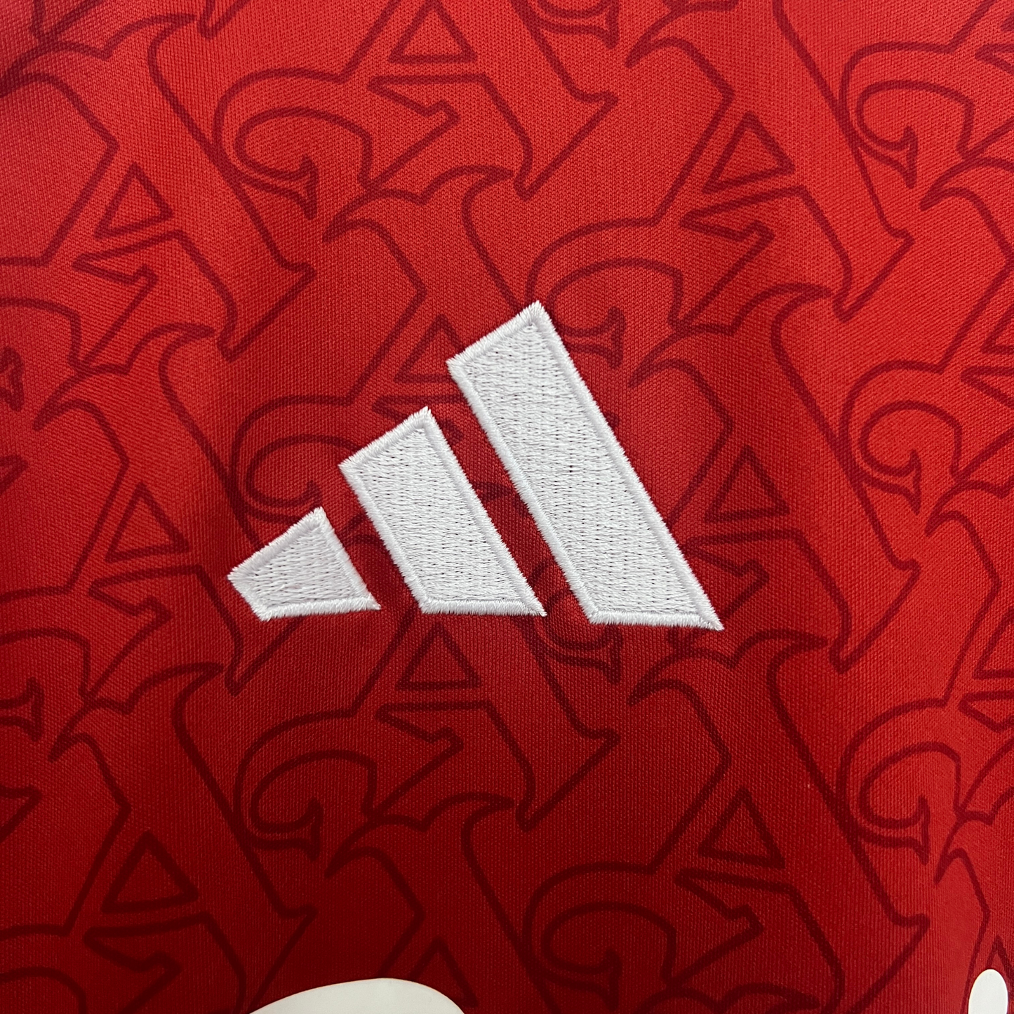 Shirt Arsenal I 25/26 Fan Version
