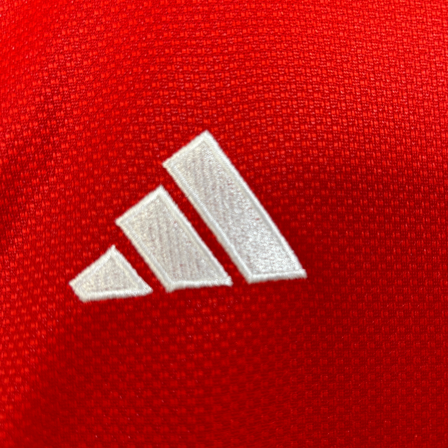 Kit SL Benfica I 25/26 Kids