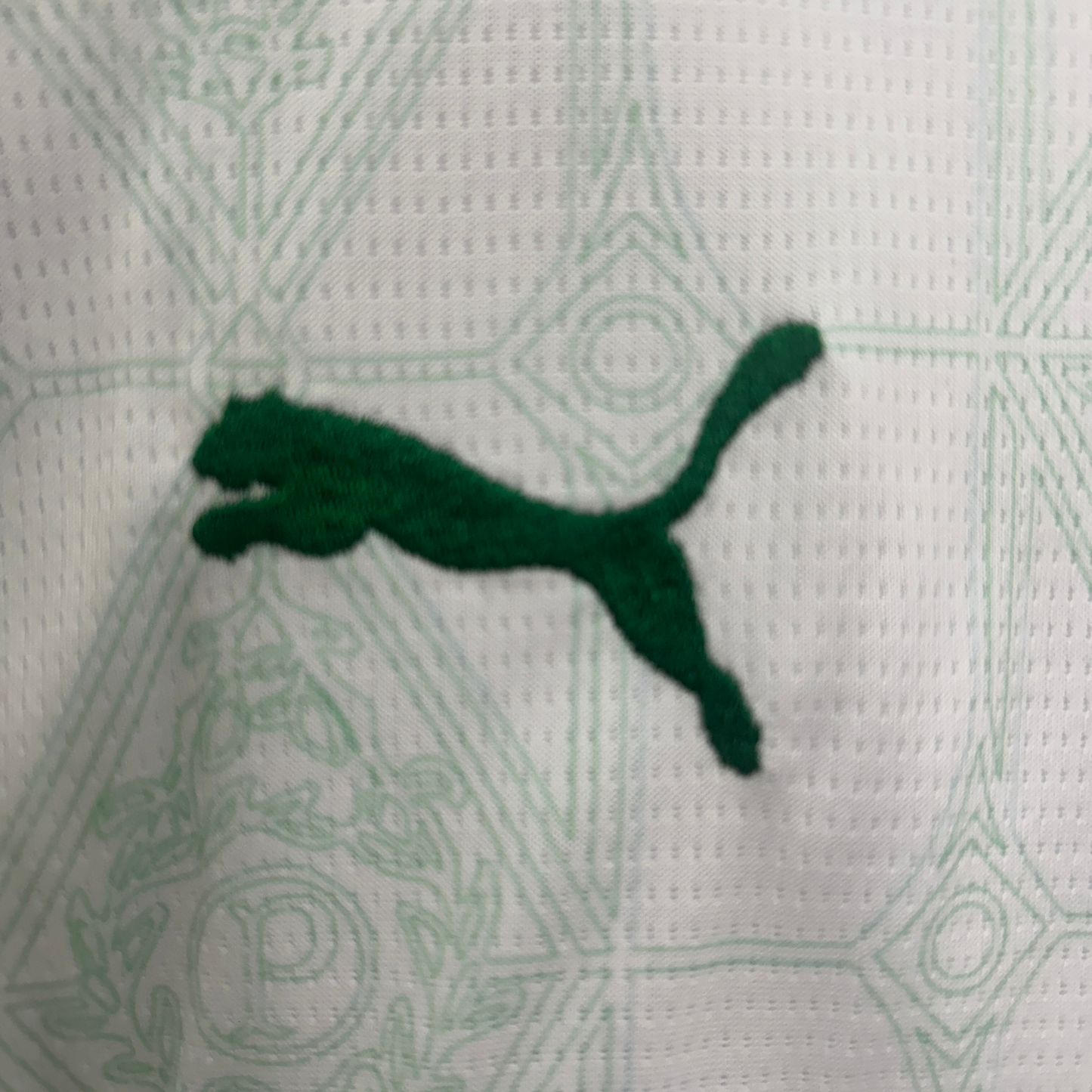 Kit Palmeiras II 25/26 Kids