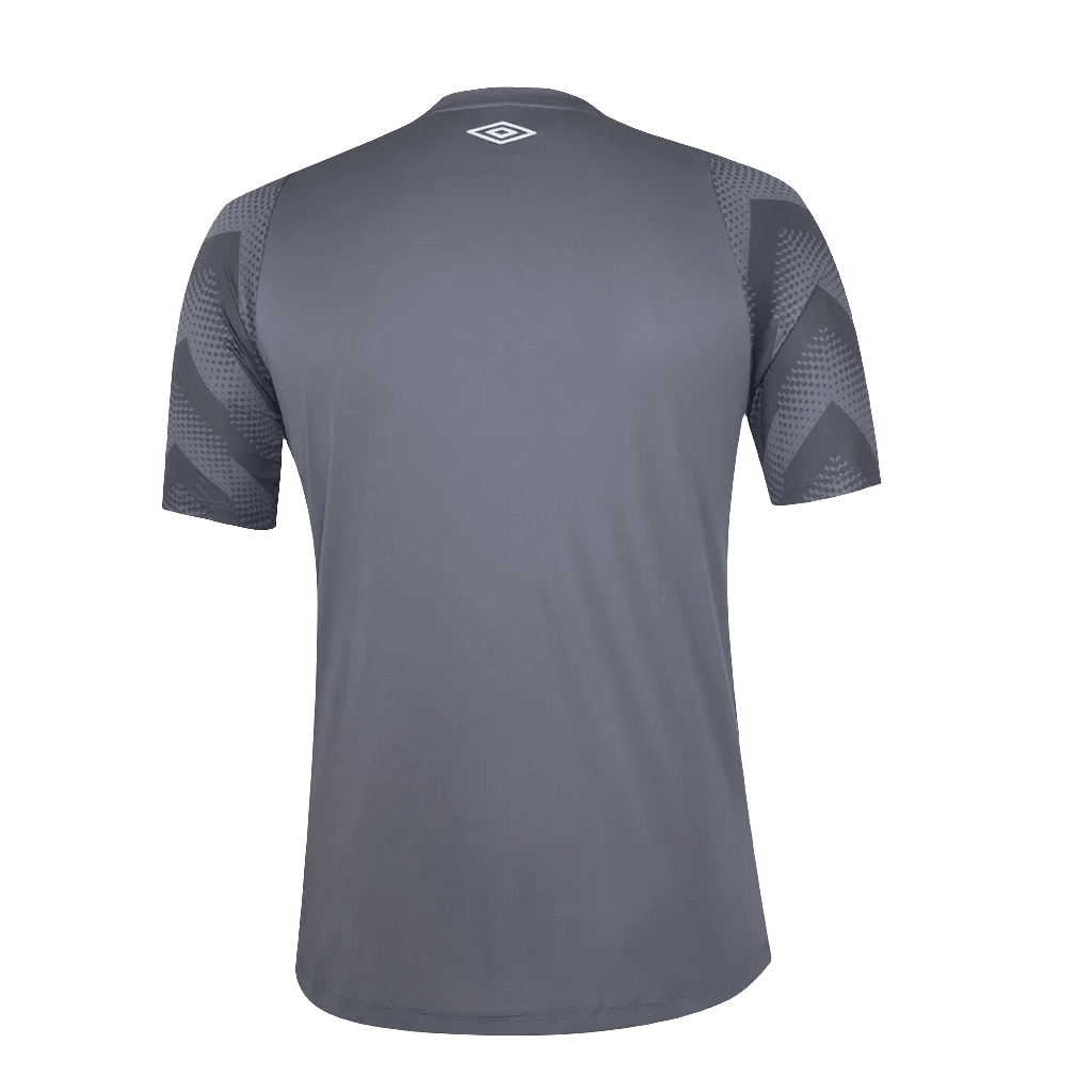 Santos 24/25 Goalkeeper Jersey - Gray - Fan Version | Free Shipping + Keychain Gift