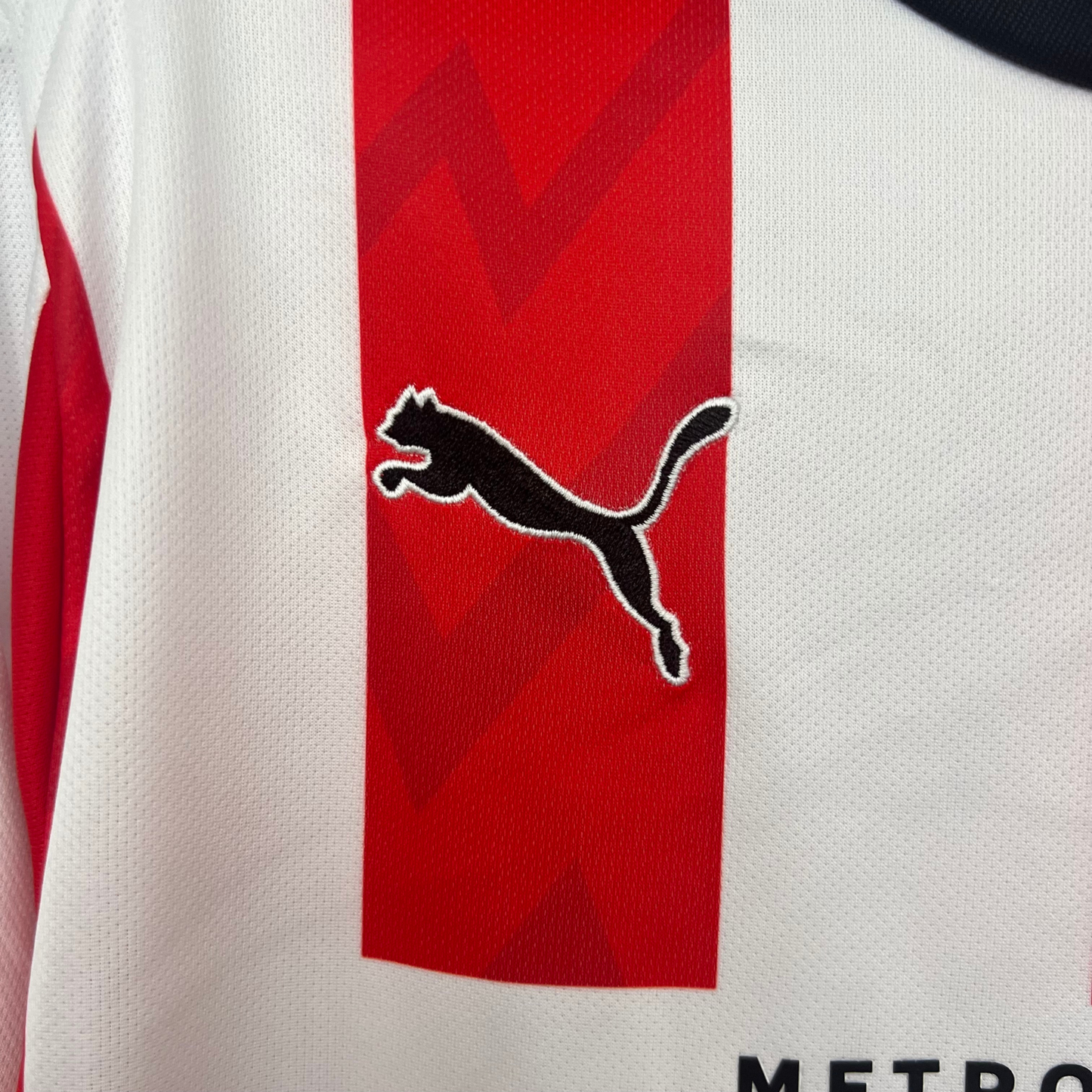 Shirt PSV I 25/26 Fan Version