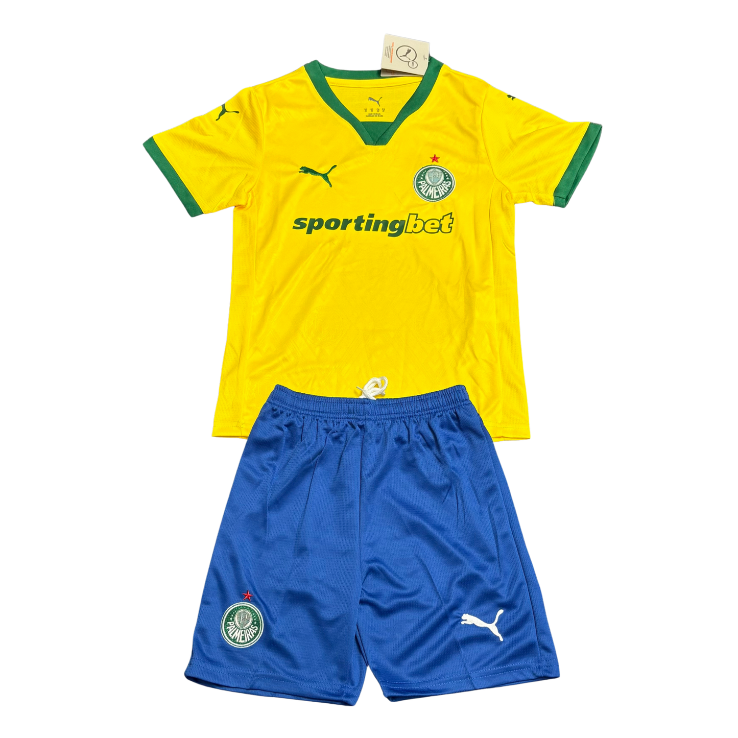 Kit Palmeiras III 25/26 Kids