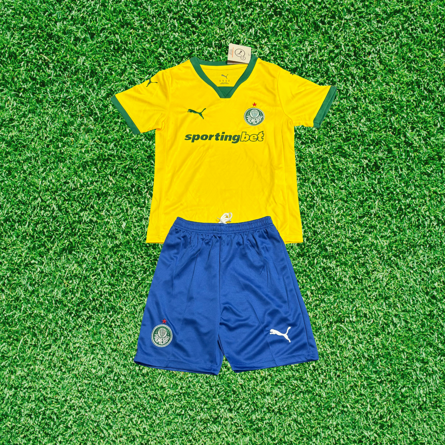 Kit Palmeiras III 25/26 Kids