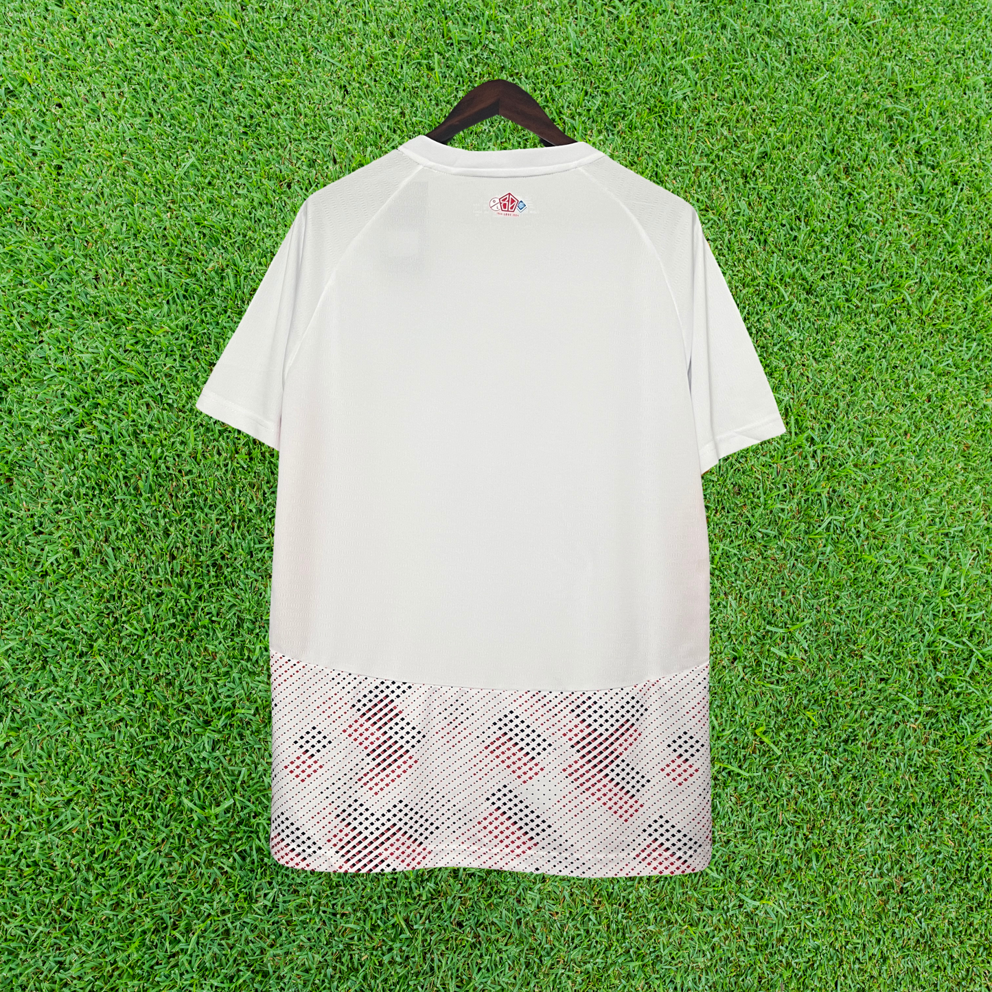 Shirt Lille LOSC II 24/25 Fan Version