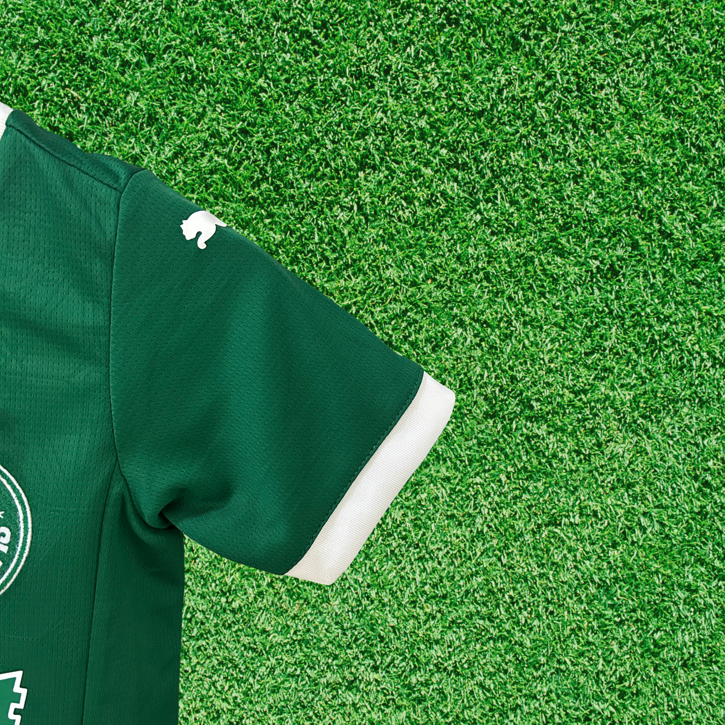 Kit Palmeiras I 25/26 Kids