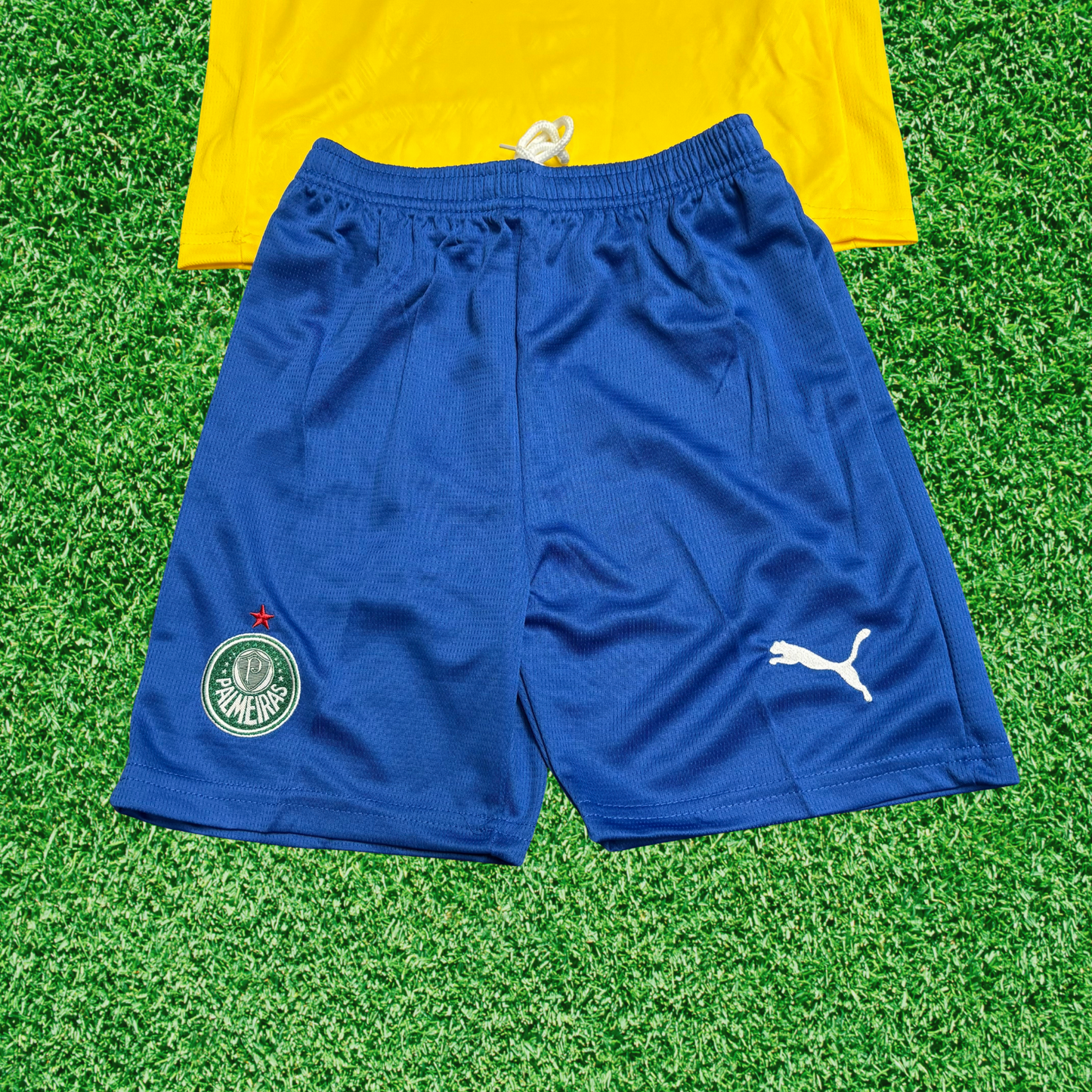 Kit Palmeiras III 25/26 Kids