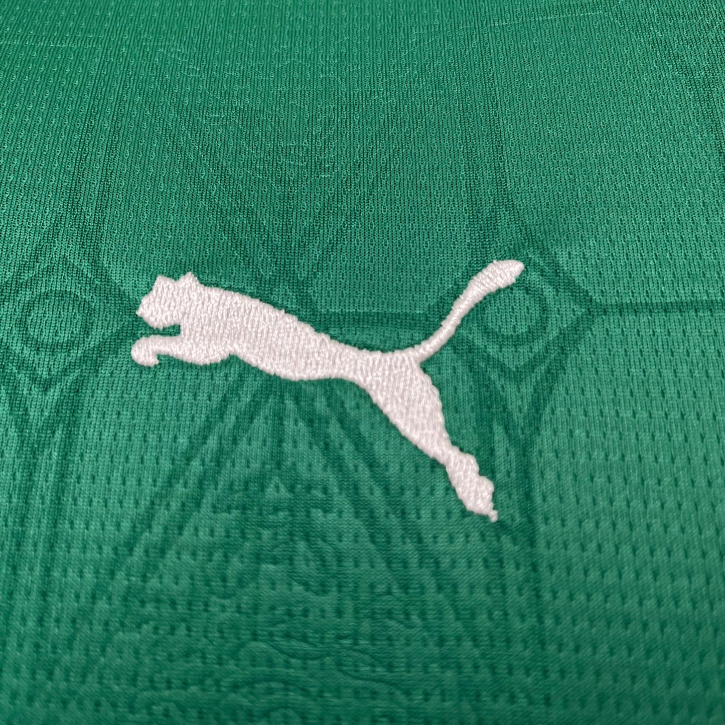 Palmeiras Infantil 25/26 Home | Free Shipping + Keychain Gift