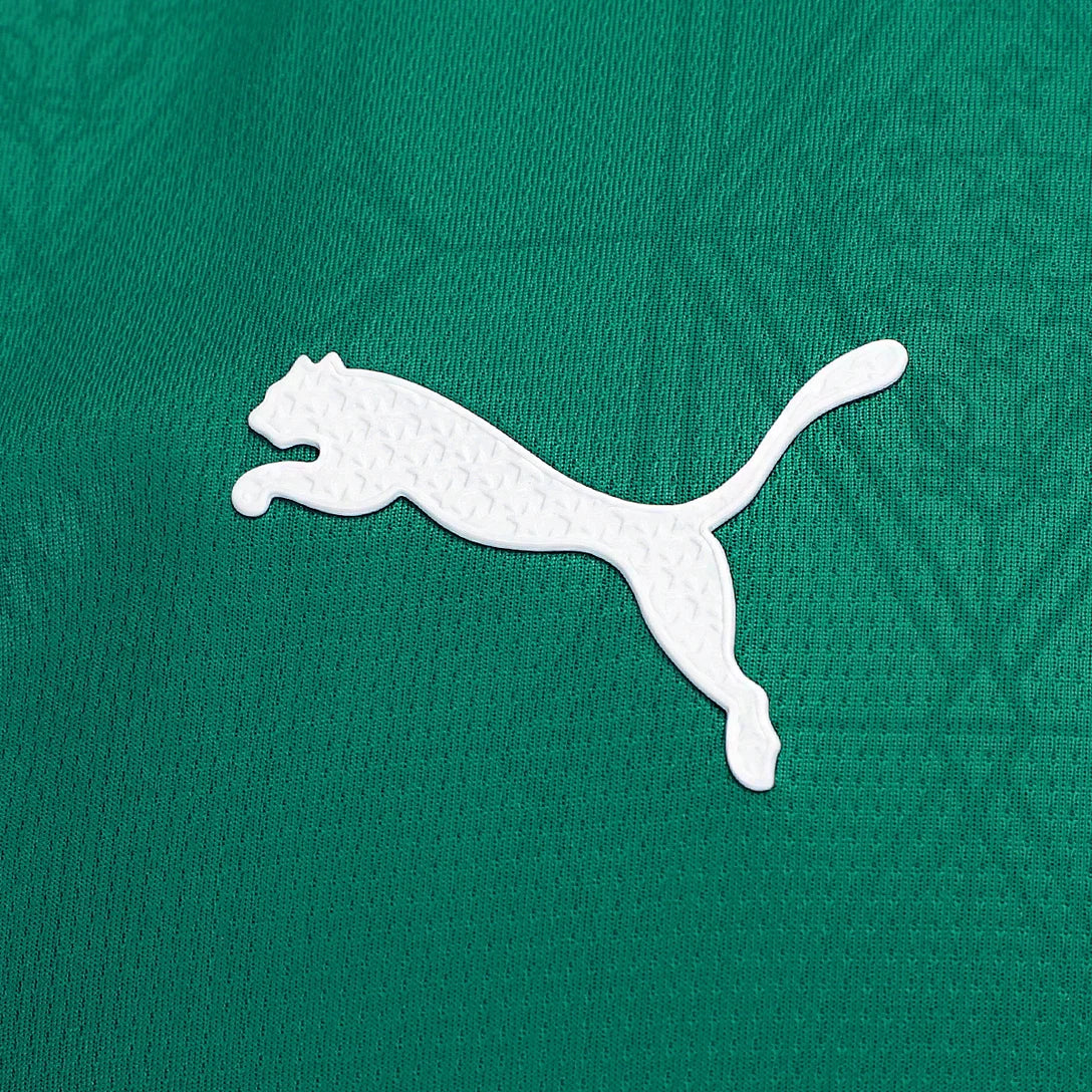 Palmeiras 25/26 I Home Jersey - Player Version | Free Shipping + Keychain Gift