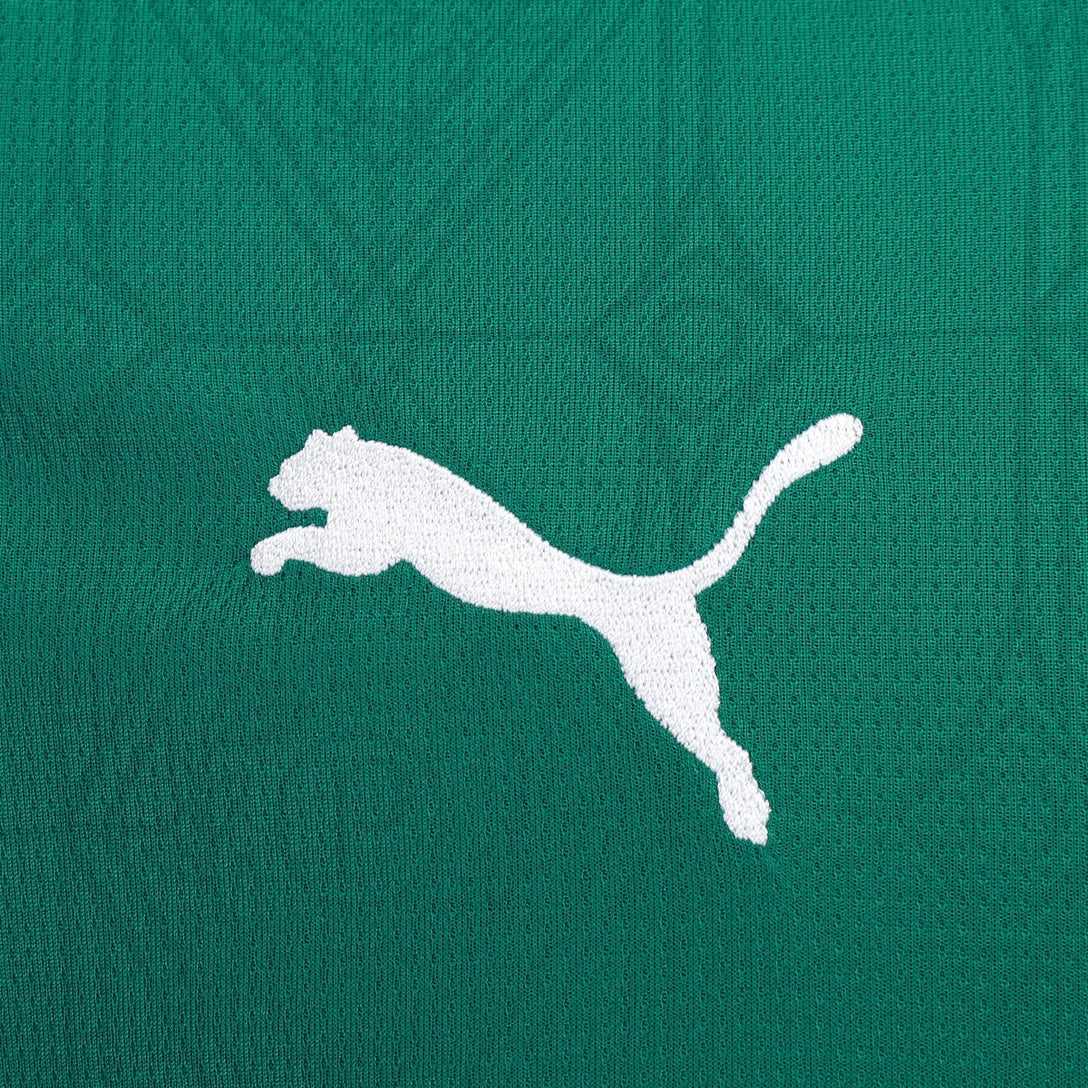 Palmeiras 25/26 I Home Jersey - Fan Version | Free Shipping + Keychain Gift