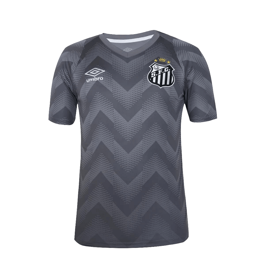 Santos 24/25 Goalkeeper Jersey - Gray - Fan Version | Free Shipping + Keychain Gift